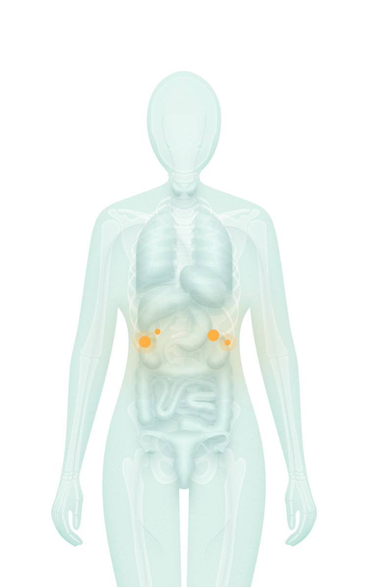 Representação do estresse afetando o organismo